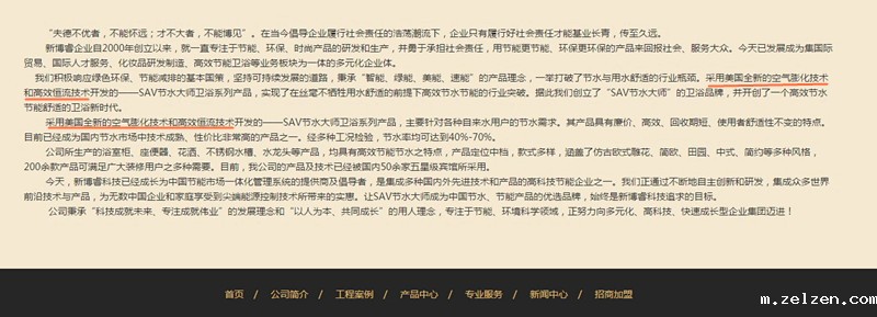 沈阳新博睿公司网站截图